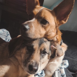 Fundraising Page: Melissa Pennington